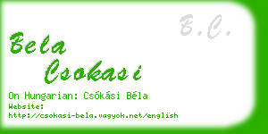 bela csokasi business card